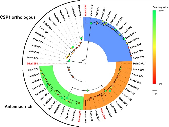 Fig 6