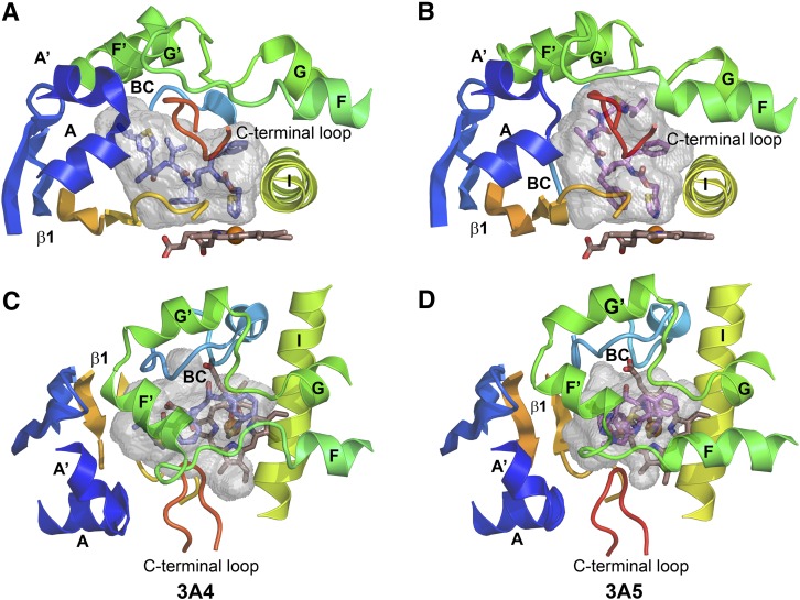 Fig. 3.