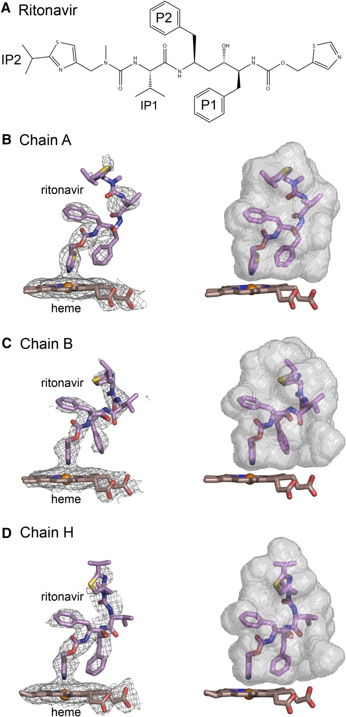 Fig. 2.