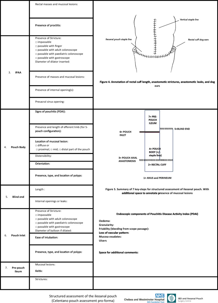 graphic file with name 423_2023_3151_Tab1b_HTML.jpg