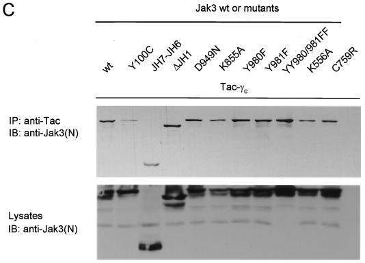 FIG. 6.