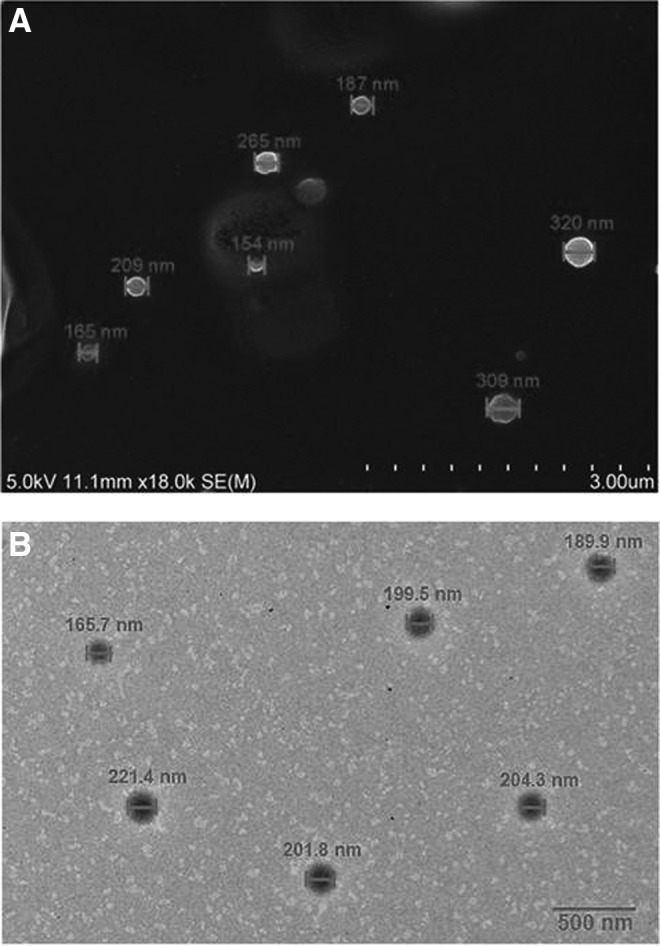 FIG. 5.