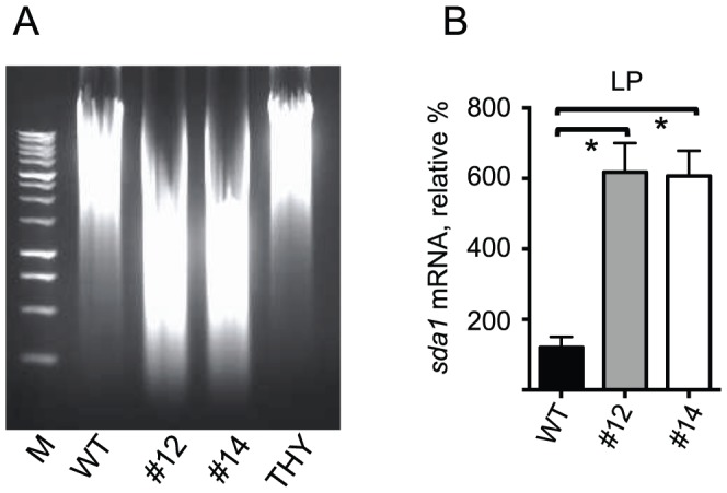 Figure 5