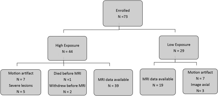 FIGURE 1 