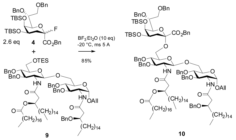 Scheme 2