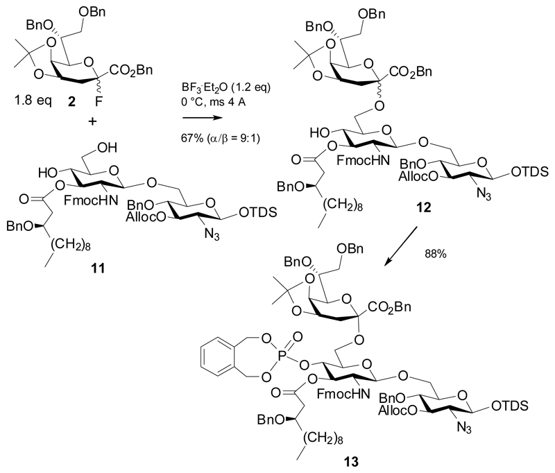 Scheme 3