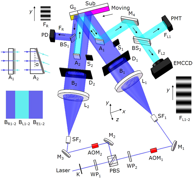 Figure 2