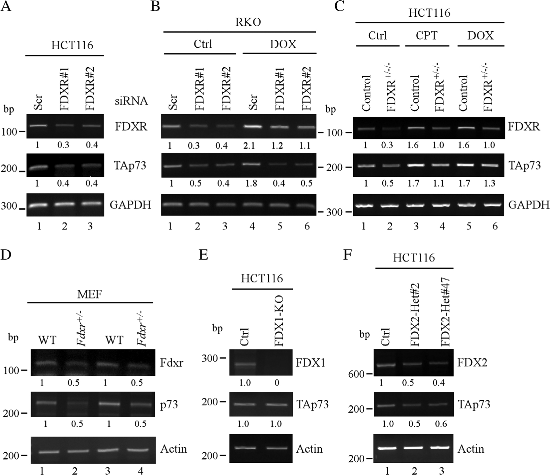 Figure 4.