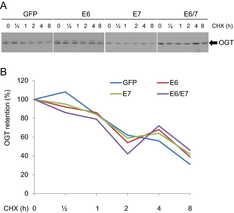 Fig. S8.