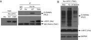 Fig. S12.