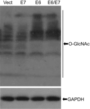 Fig. S3.