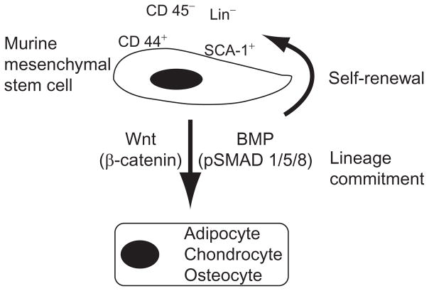 Figure 2.1