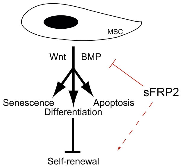 Figure 2.3