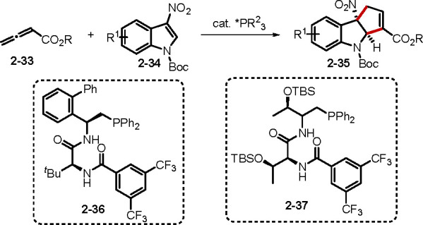 Scheme 8