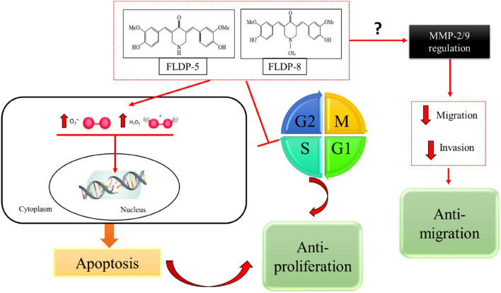 Figure 9