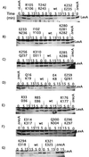 FIG. 5