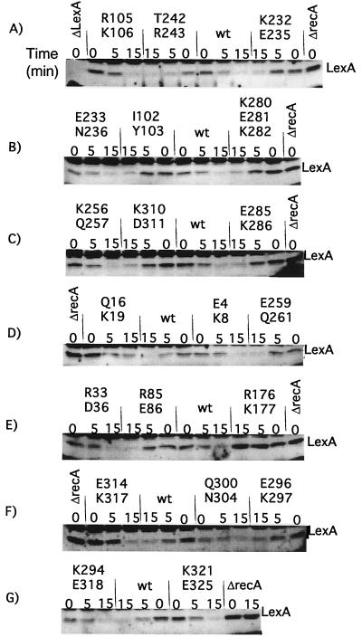 FIG. 5