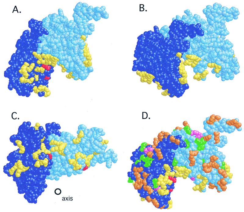 FIG. 1