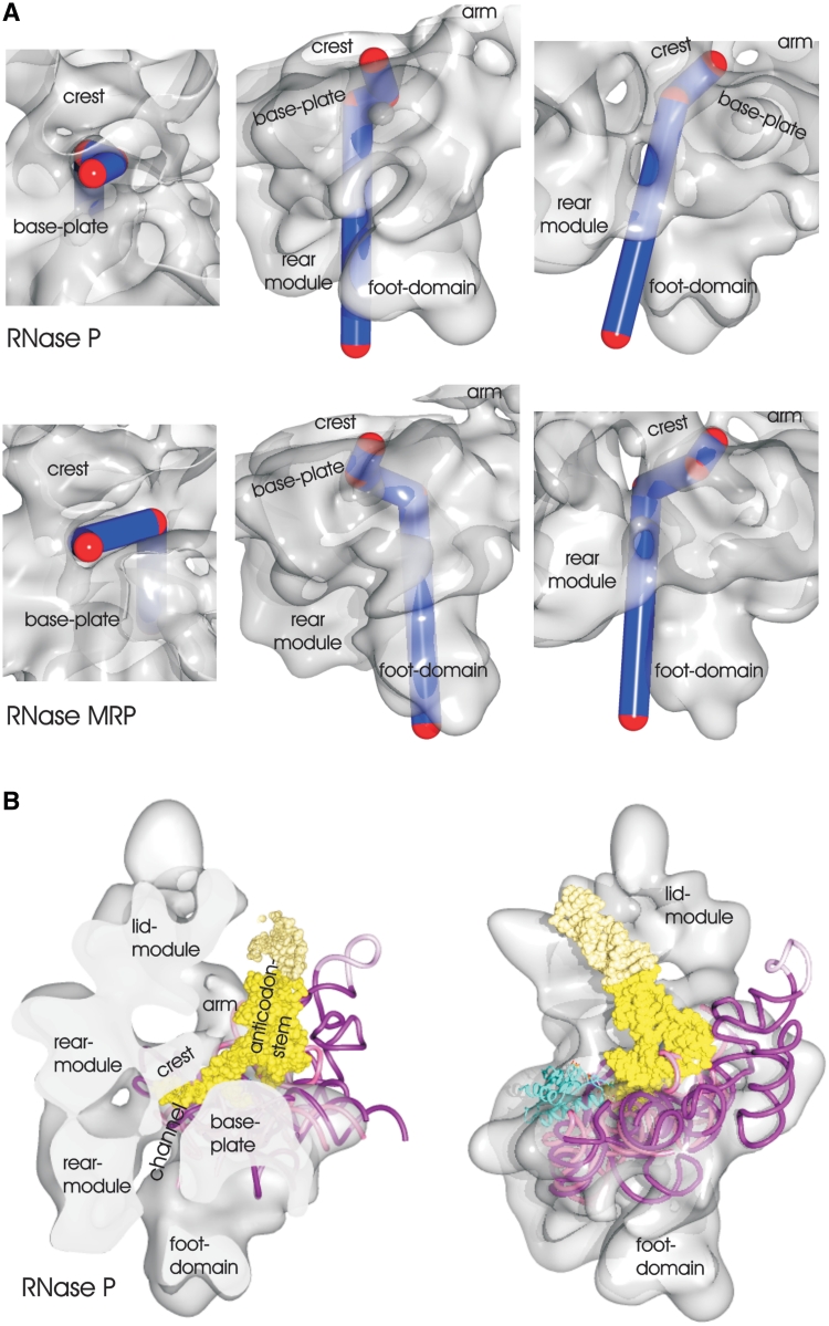 Figure 5.