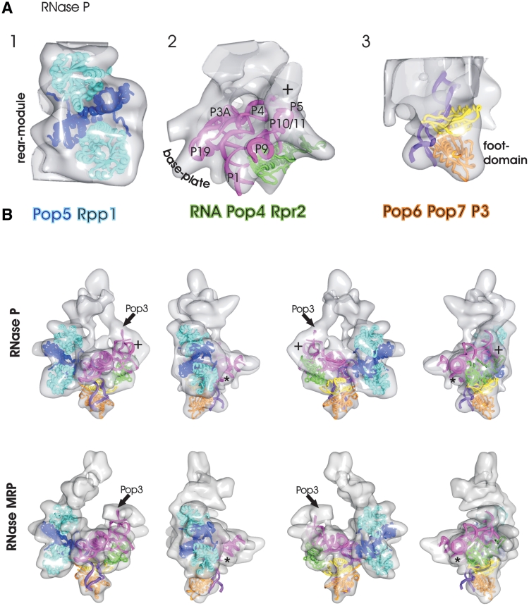 Figure 4.