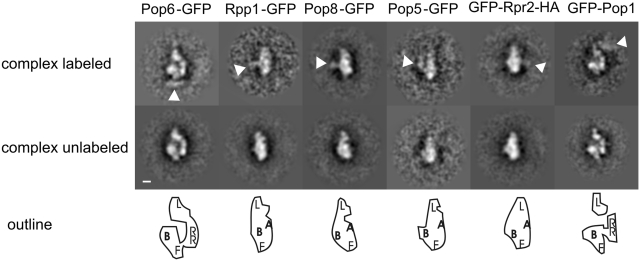 Figure 3.