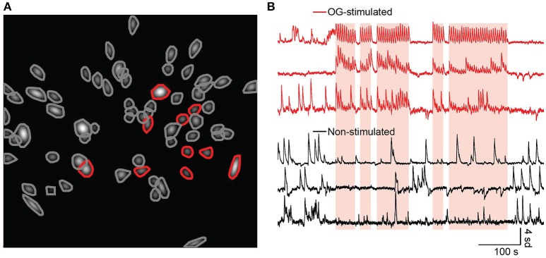 Figure 5