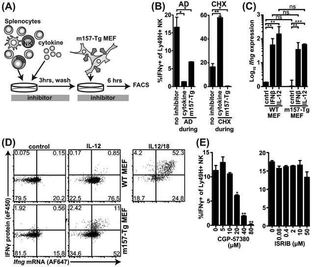 Figure 4: