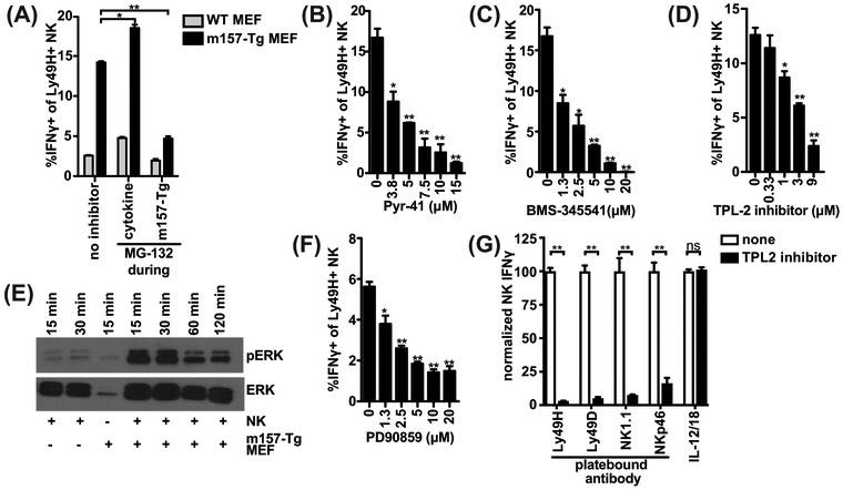 Figure 5: