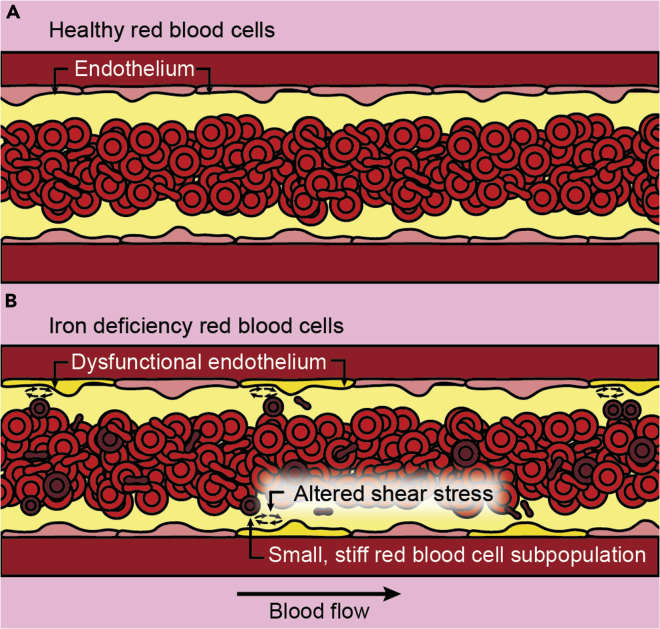 Figure 5