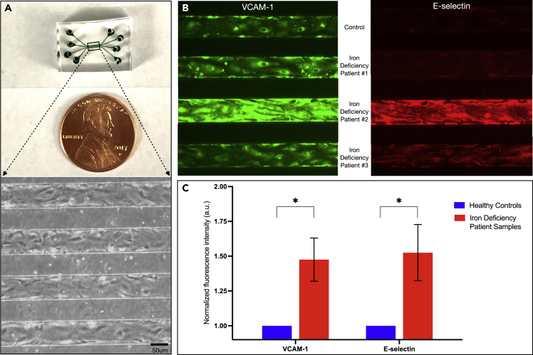 Figure 4