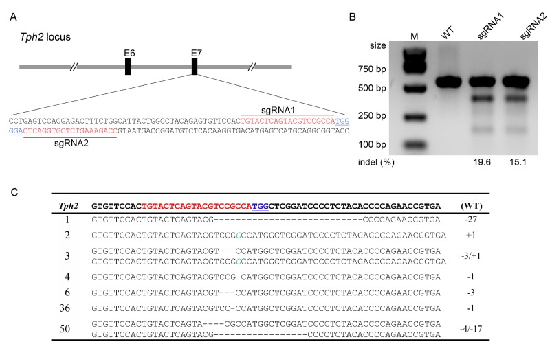 Fig.1