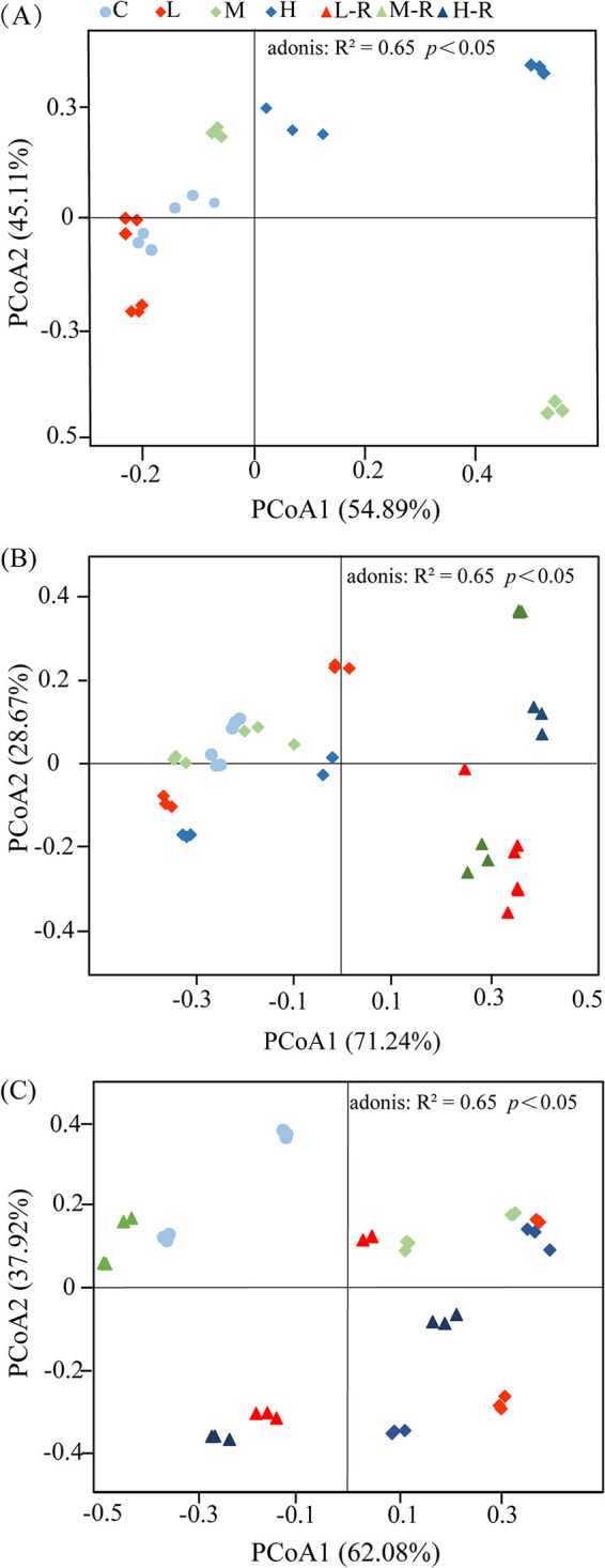 FIG 3