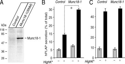 Figure 10.