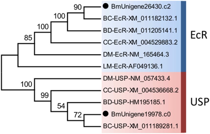 Fig 8