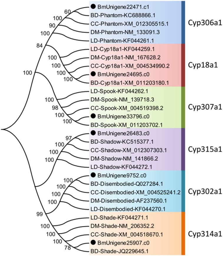 Fig 7