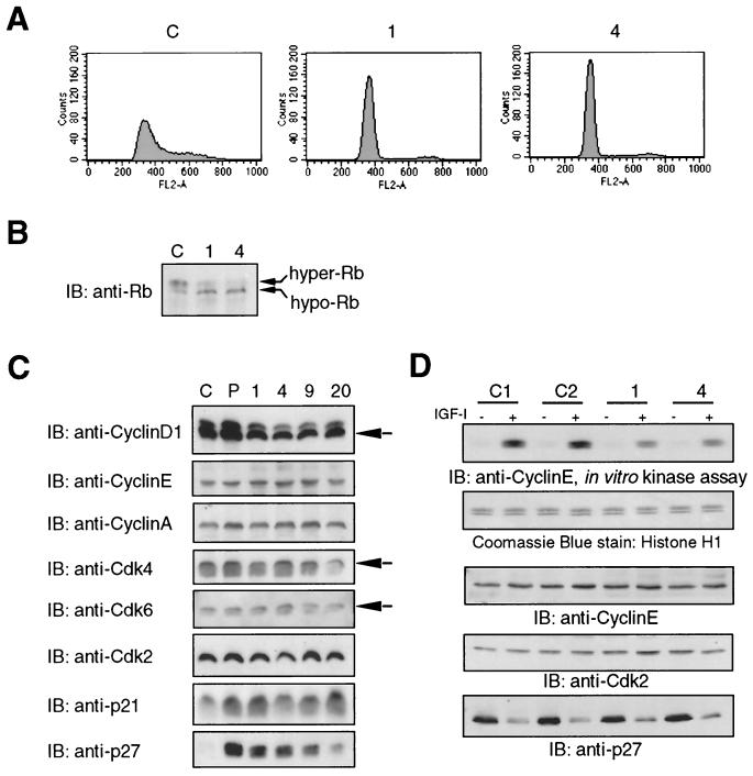 FIG. 9.