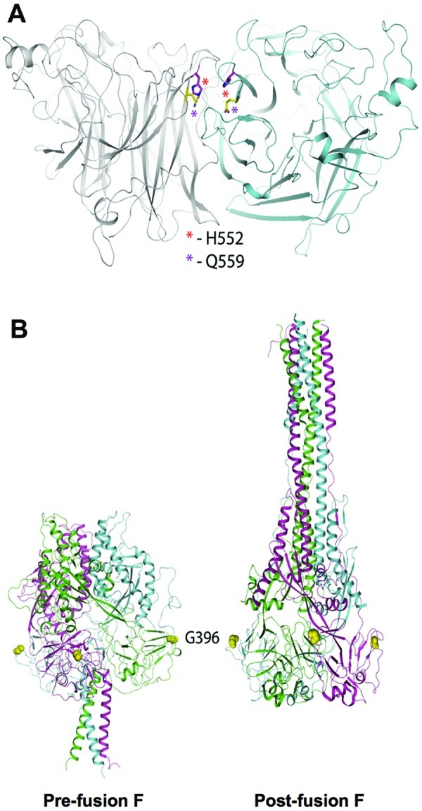 FIG 2 