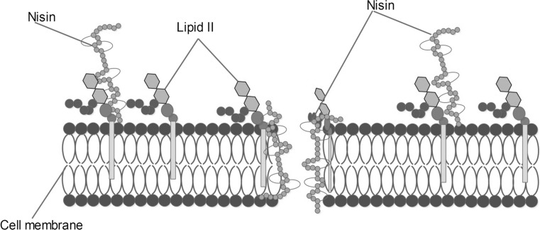 Fig. 3