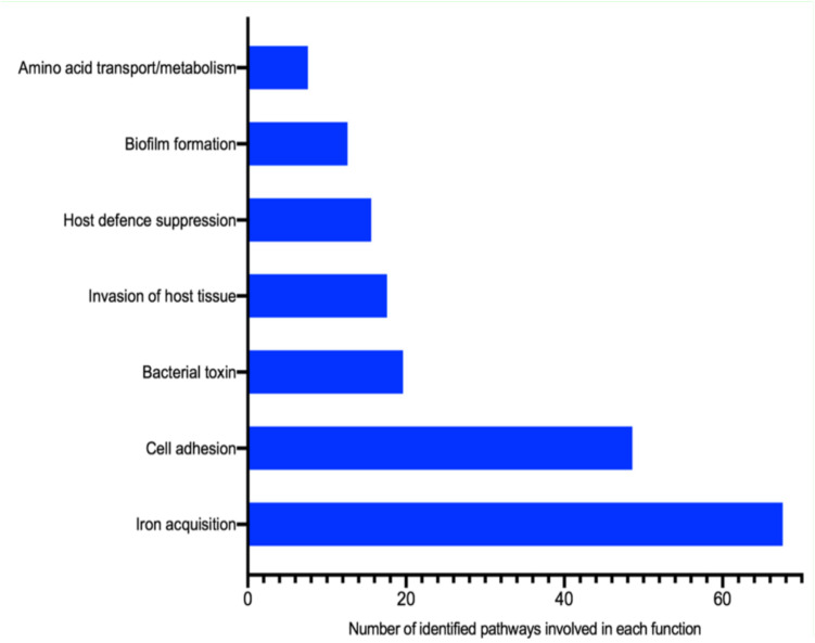 FIGURE 7