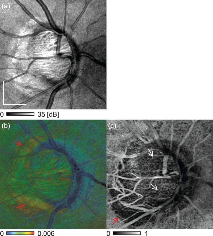 Fig. 7