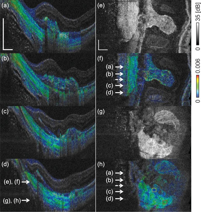 Fig. 9