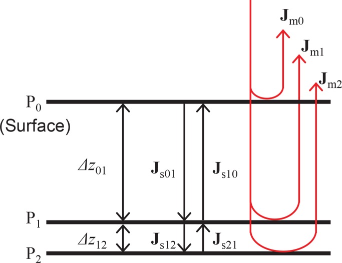 Fig. 1