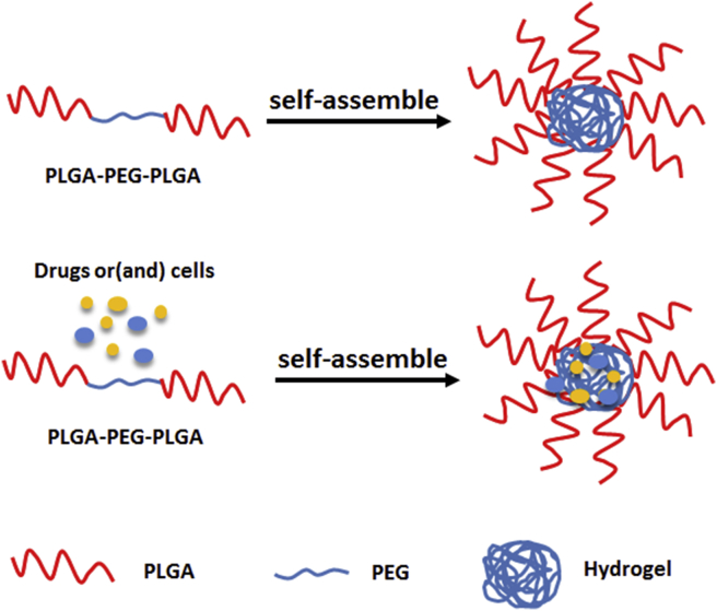 Figure 3