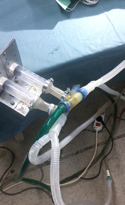 Figure 3