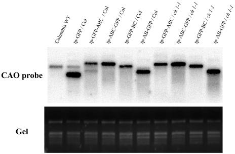 Figure 4.