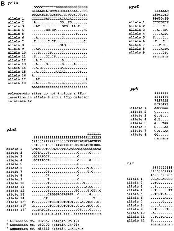 FIG. 2.