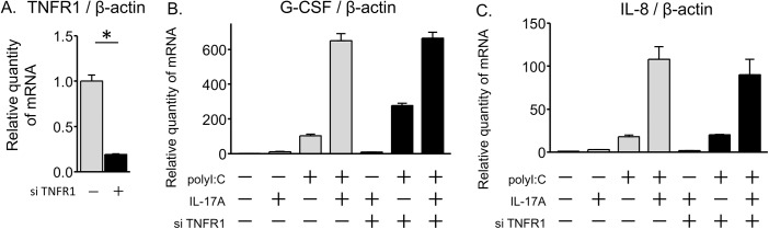 Fig 7