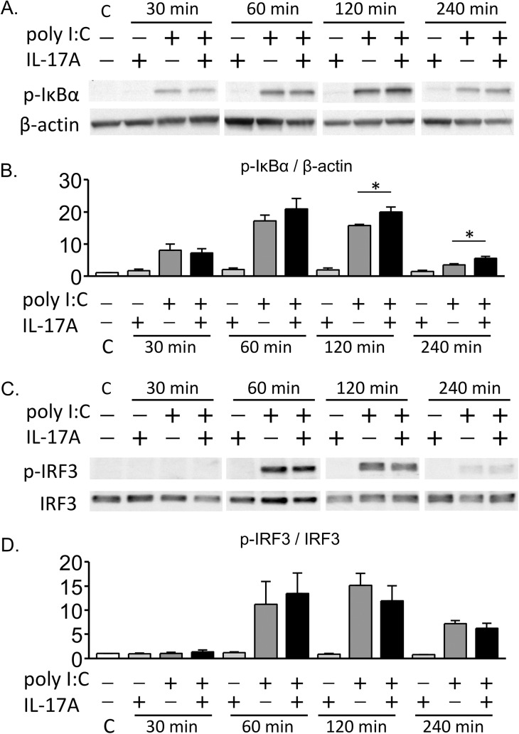 Fig 8