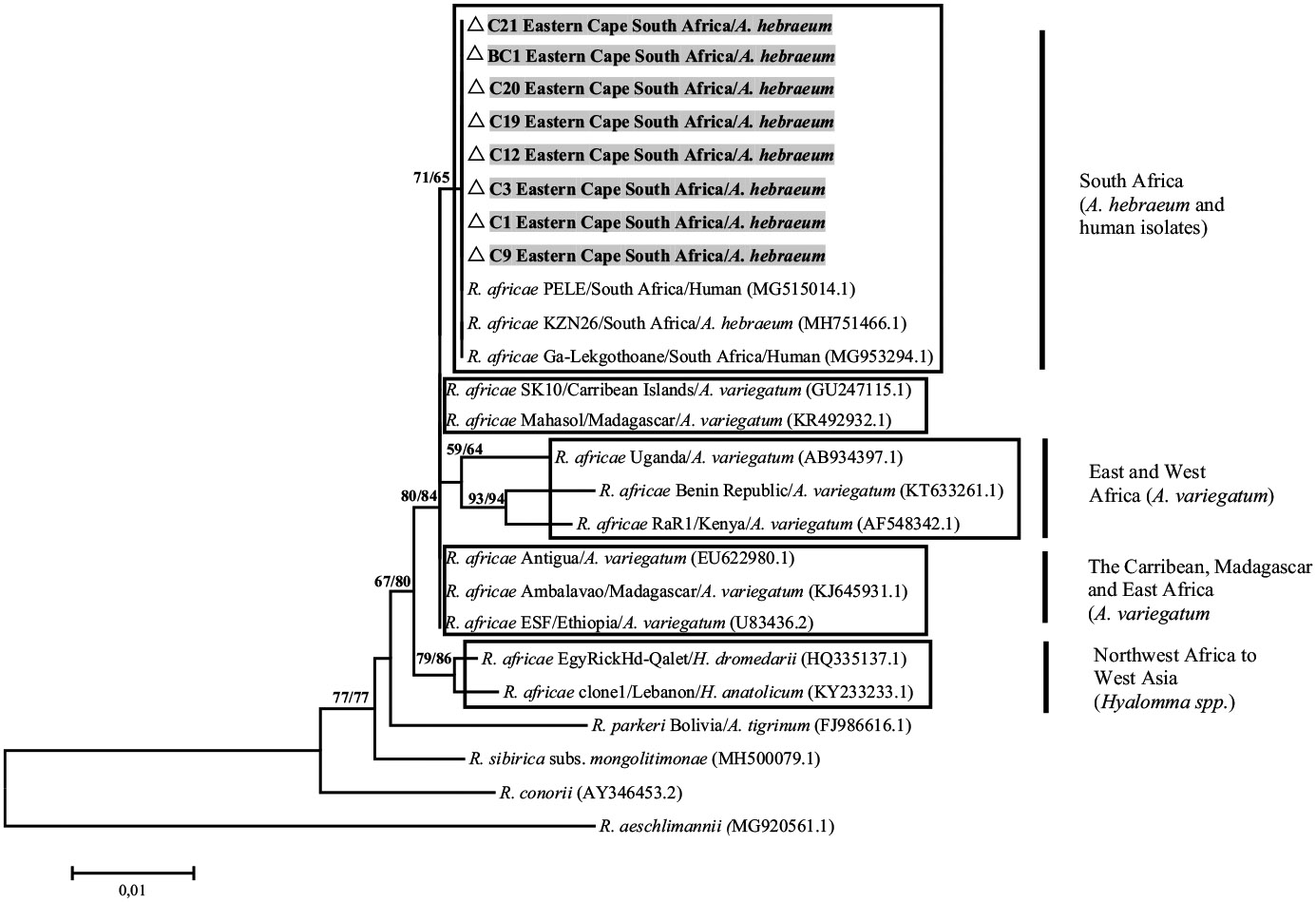 Fig. 2