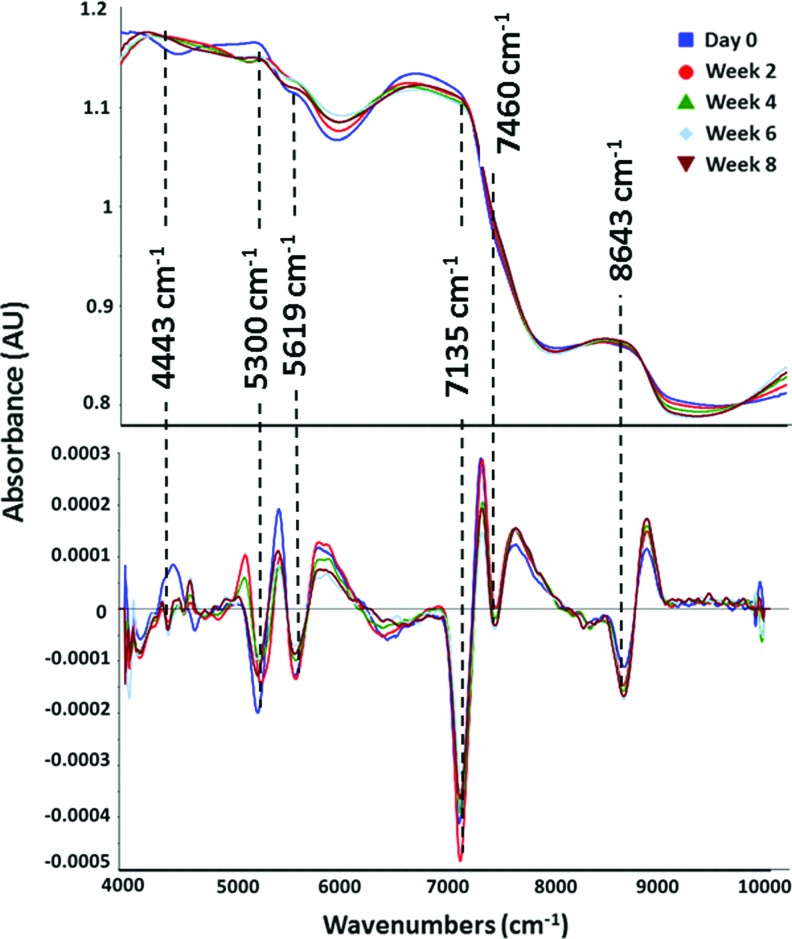 FIG. 5.